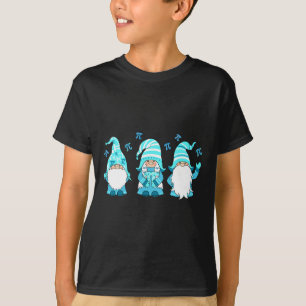 Three Gnomes Cute Happy Pi Day Math Number Lover M T-Shirt