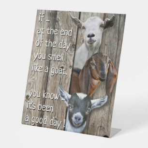 Three Goat Portrait  Cute Goat Poem  Pedestal Sign