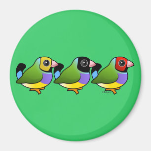 Three Gouldian Finches Magnet