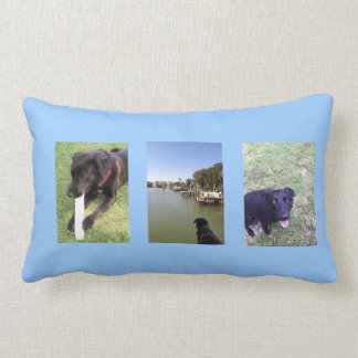 Three great dogs photo by bbillips lumbar pillow