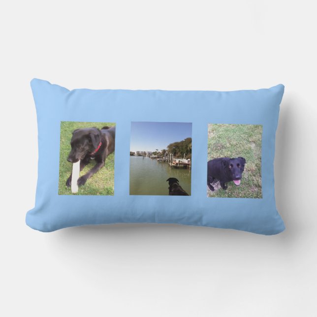 Three great dogs photo by bbillips lumbar pillow (Front)