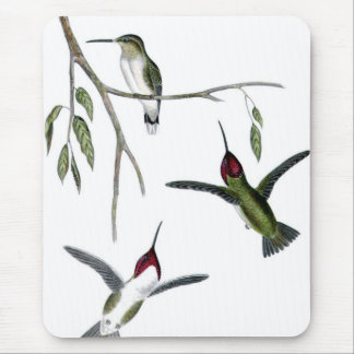 Three Green Hummingbirds Mouse Pad