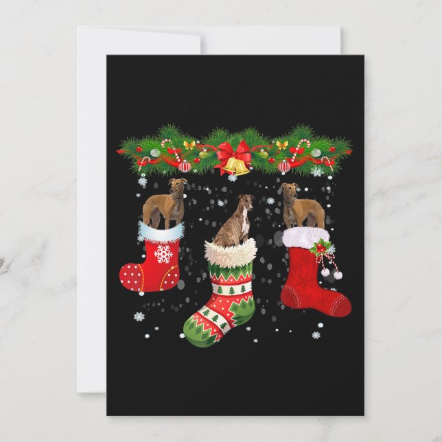 Three Greyhound Dog In Sock Christmas Santa Holiday Card (Front)