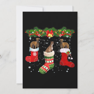 Three Greyhound Dog In Sock Christmas Santa Holiday Card