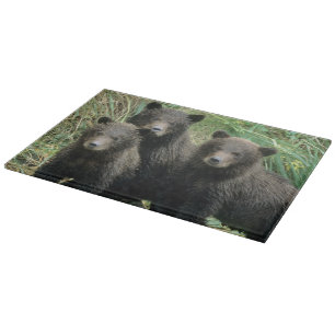 Three Grizzly Bear Cubs or Coys Cutting Board