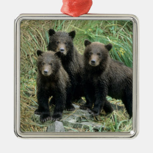 Three Grizzly Bear Cubs or Coys Metal Ornament