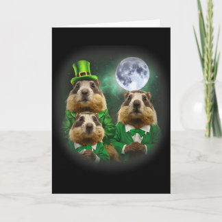 Three Groundhog Moon 3 Groundhog Day Head St Patri Card