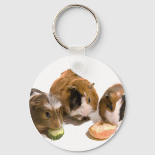 three guinea pigs who eat, keychain