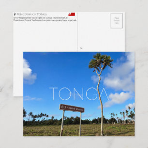 Three-Headed Coconut Tree, Tonga Travel Postcard