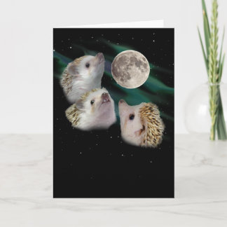 Three Hedgehog Moon Greeting Card