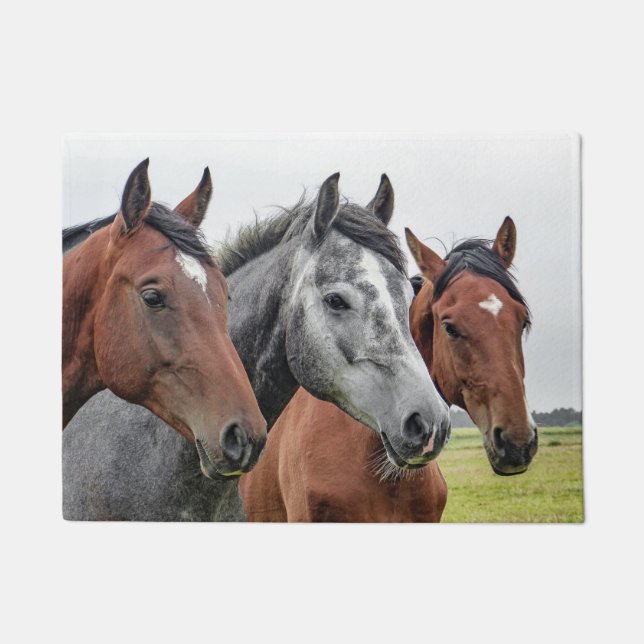 Three Horses Doormat (Front)