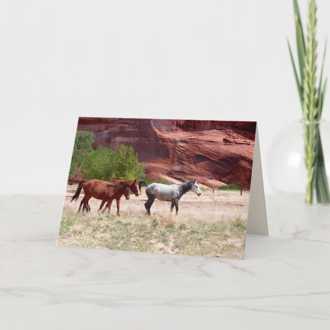 Three Horses in a Canyon, Blank Greeting Card (Front)