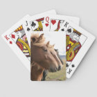 Three horses in a row Playing Cards