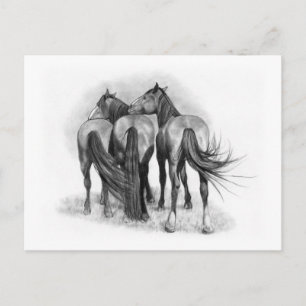 Three Horses: Rear Ends: Affection: Pencil Art Postcard