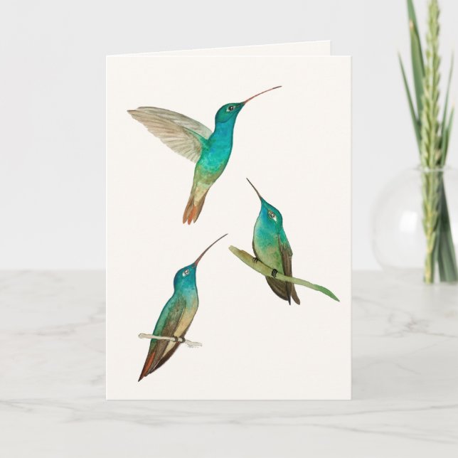 Three Hummingbirds Greeting Card (Front)