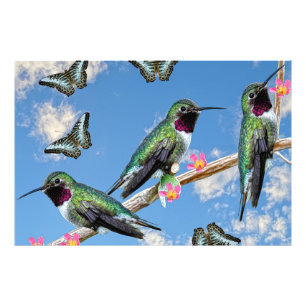 Three Hummingbirds perching on a branch Floss Silt Photo Print