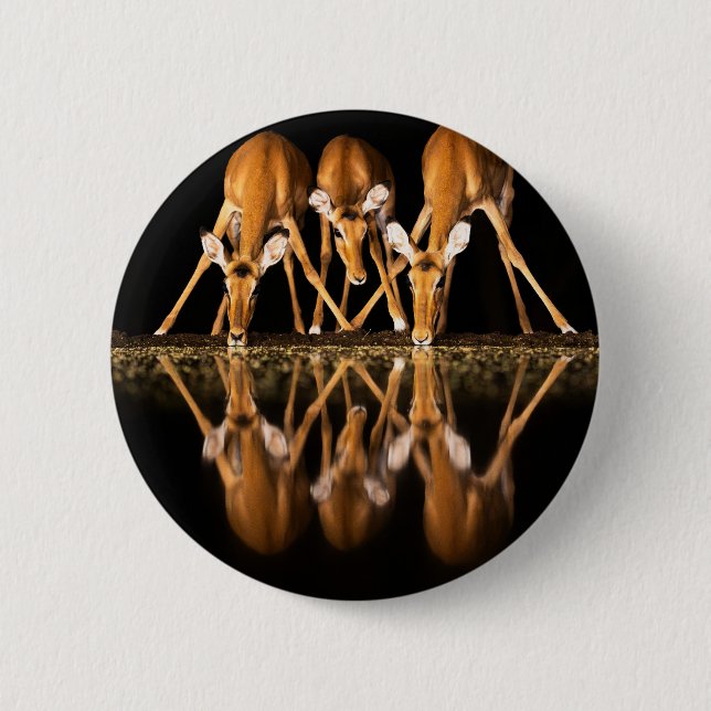 Three Impala Drink Together at Night 2 Inch Round Button (Front)