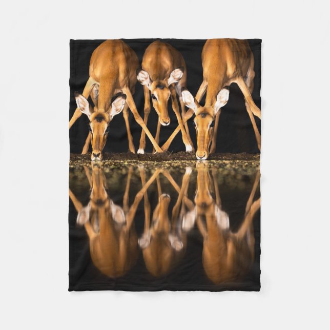 Three Impala Drink Together at Night Fleece Blanket (Front)
