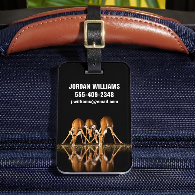 Three Impala Drink Together at Night Luggage Tag (Front Insitu 2)