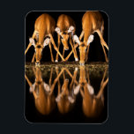 Three Impala Drink Together at Night Magnet<br><div class="desc">Africa, East Africa, Kenya, Great Rift Valley, Olkirimatian Conservancy, impala, Aepyceros melampus. Three impala drink together at night.</div>