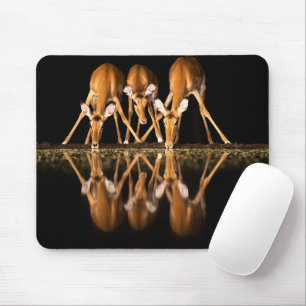 Three Impala Drink Together at Night Mouse Pad