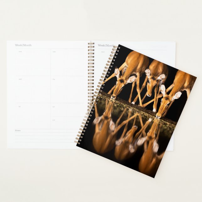 Three Impala Drink Together at Night Planner (Display)