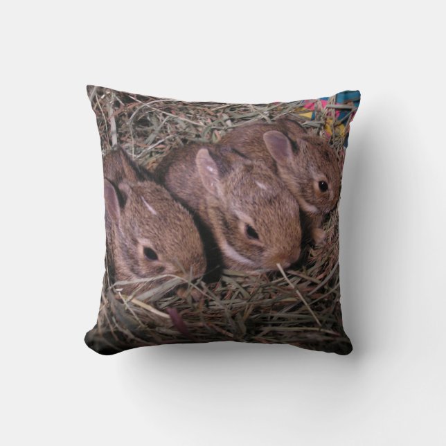 Three In A Row Throw Pillow (Front)
