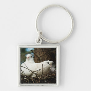 Three in a Tree Keychain