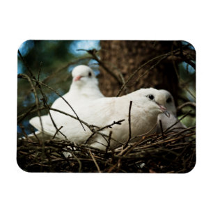 Three in a Tree Magnet