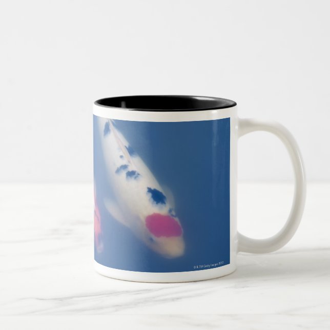 Three Japanese koi fish in pond Two-Tone Coffee Mug (Right)