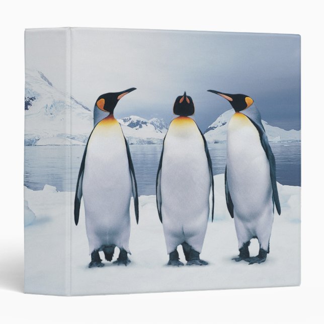 Three King Penguins Binder (Front/Spine)