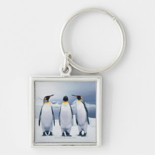 Three King Penguins Keychain