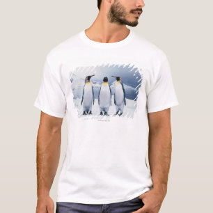 Three King Penguins T-Shirt