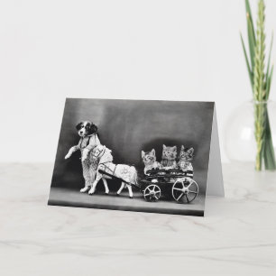 Three Kitten Pony Ride Card