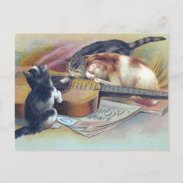 Three Kittens and a Guitar Vintage Illustration Postcard