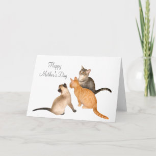 Three Kittens Mother's Day Card