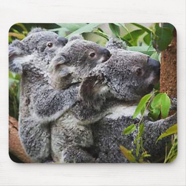 Three Koala's in a Tree Mouse Pad (Front)