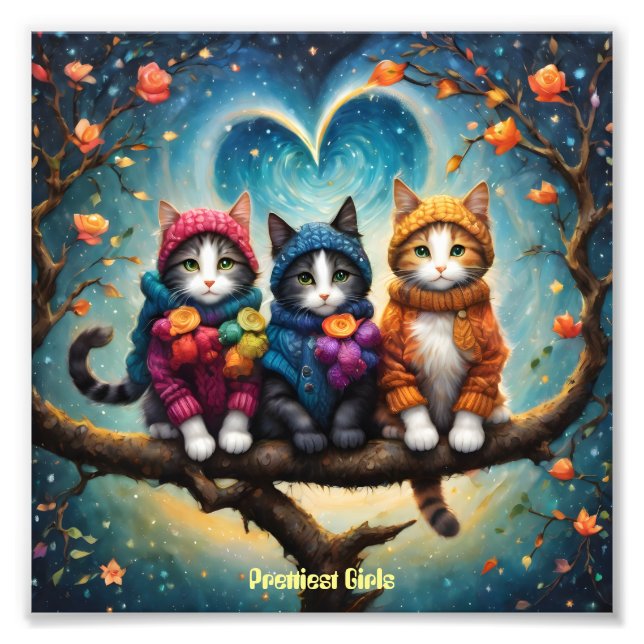 Three Kut and beautiful cats with innocent looks Photo Print (Front)