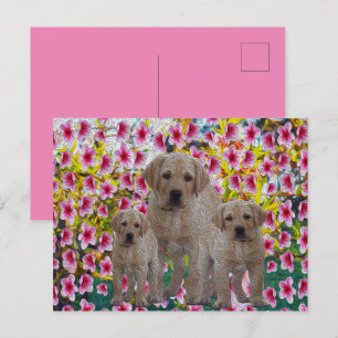 Three Labrador Puppies Oil Painted,   Holiday Postcard