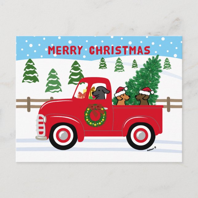 Three Labradors Red Truck Christmas Holiday Postcard (Front)