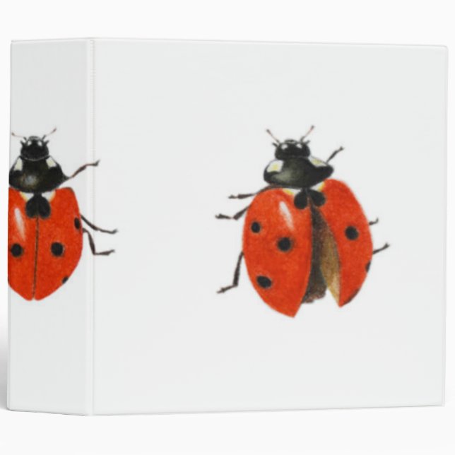 Three ladybirds 2013 binder (Front/Spine)