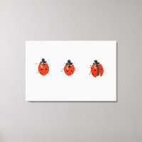 Three ladybirds 2013