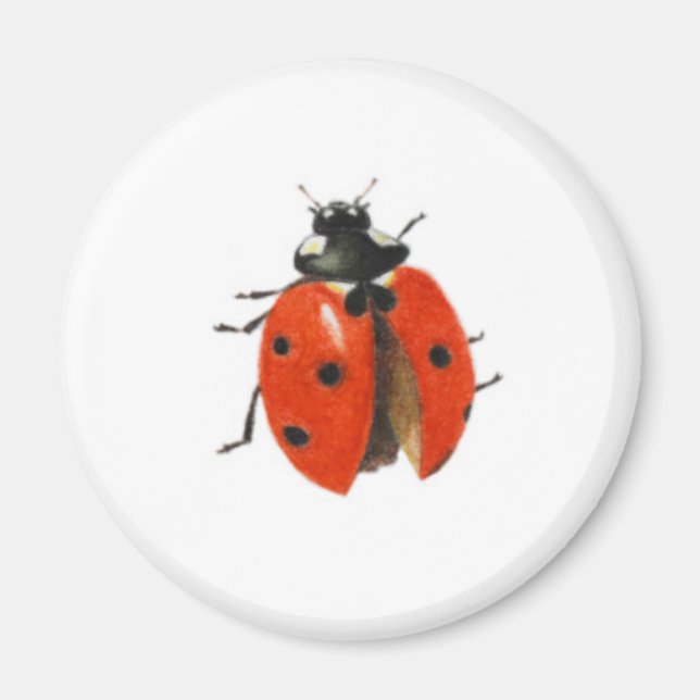 Three ladybirds 2013 magnet (Front)