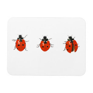 Three ladybirds 2013 magnet