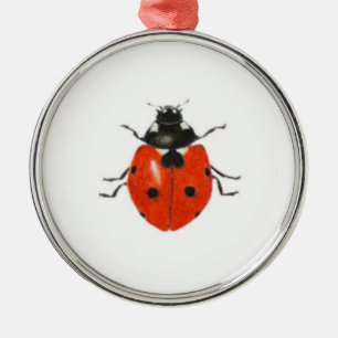 Three ladybirds 2013 metal ornament