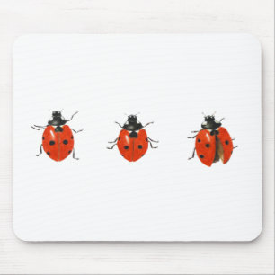 Three ladybirds 2013 mouse pad