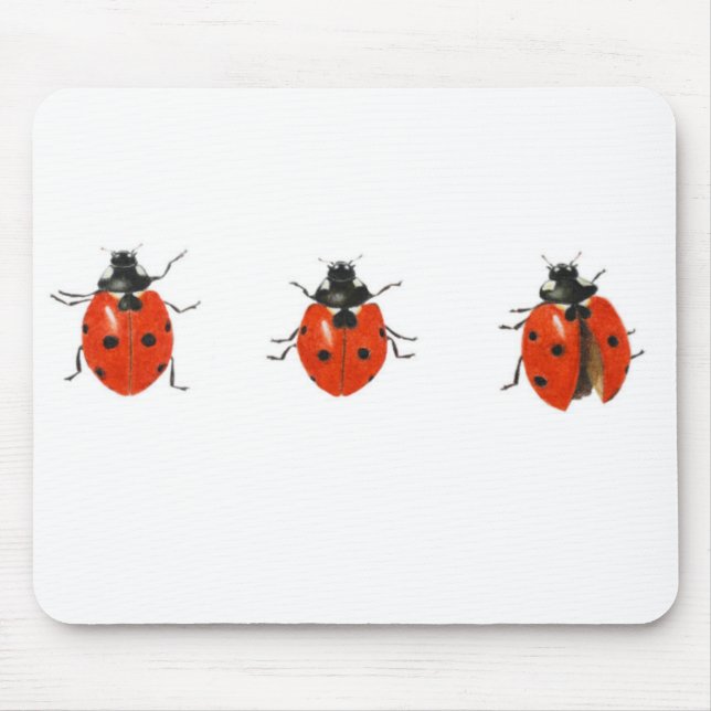 Three ladybirds 2013 mouse pad (Front)