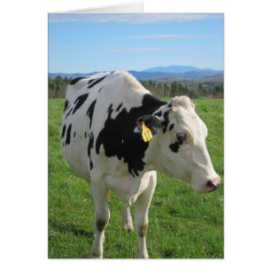 Three Legged Cow 5x7