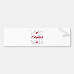 Three Lions St George's Cross Bumper Sticker