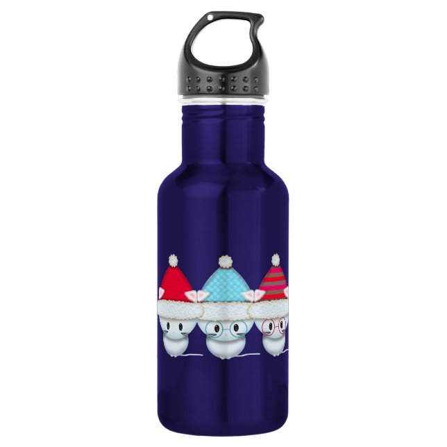 Three Little Kittens 532 Ml Water Bottle (Front)